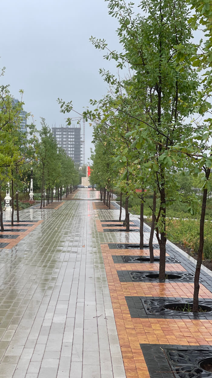 Приствольная решетка для дерева ZKING CRUST 1.2х1.2м Черная в Реутове фото