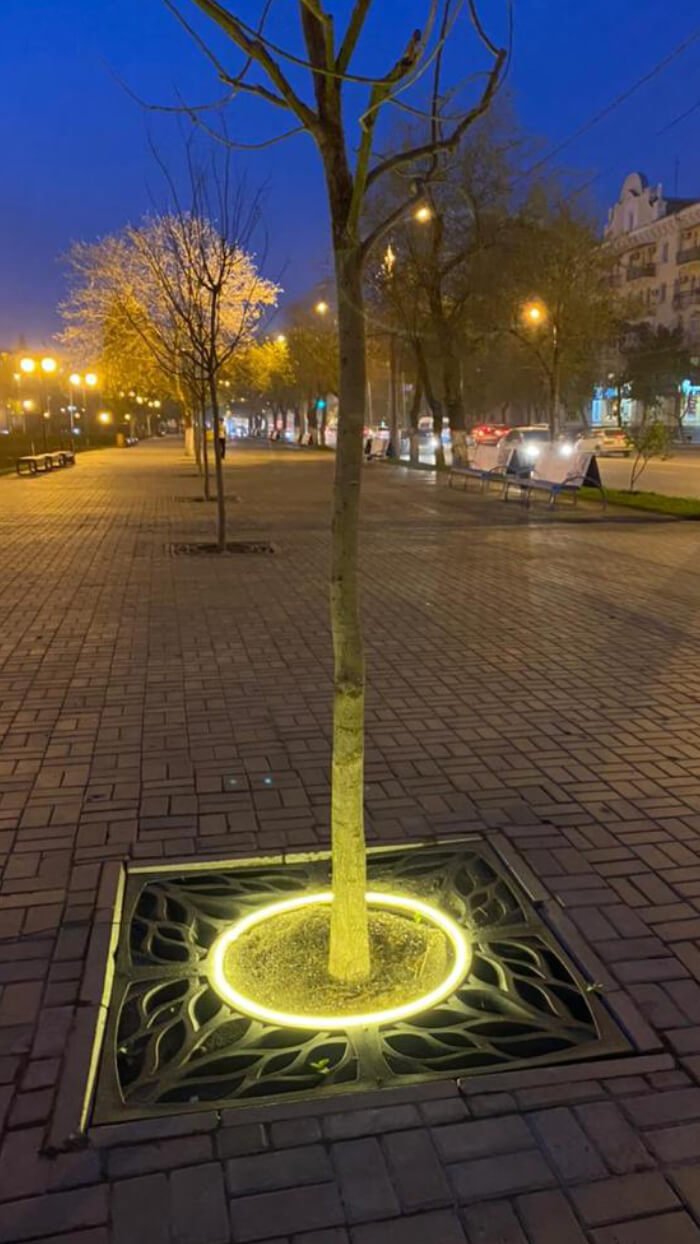 Приствольная решетка для дерева ZKING CRUST 1.2х1.2м Черная в Реутове фото